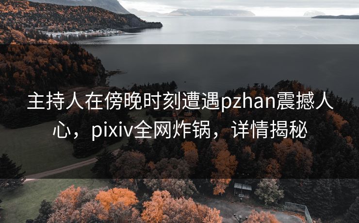 主持人在傍晚时刻遭遇pzhan震撼人心，pixiv全网炸锅，详情揭秘