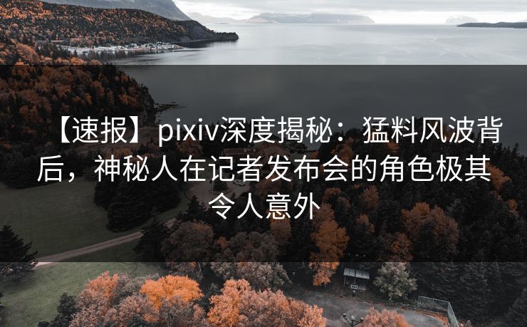 【速报】pixiv深度揭秘：猛料风波背后，神秘人在记者发布会的角色极其令人意外