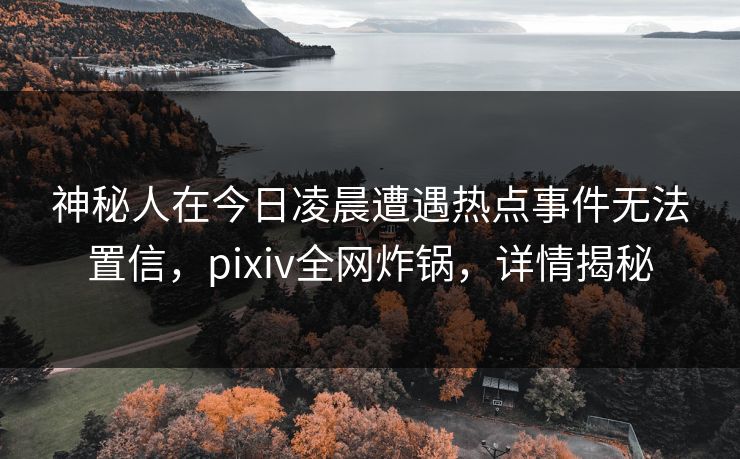 神秘人在今日凌晨遭遇热点事件无法置信，pixiv全网炸锅，详情揭秘