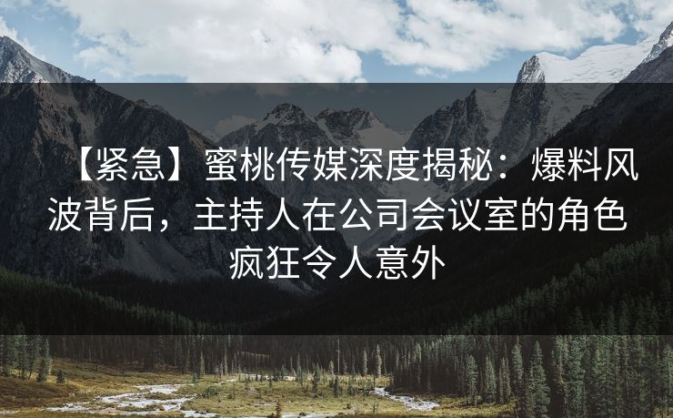 【紧急】蜜桃传媒深度揭秘：爆料风波背后，主持人在公司会议室的角色疯狂令人意外