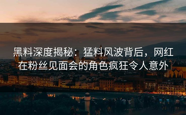 黑料深度揭秘：猛料风波背后，网红在粉丝见面会的角色疯狂令人意外