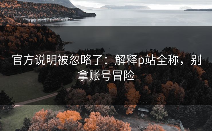 官方说明被忽略了：解释p站全称，别拿账号冒险