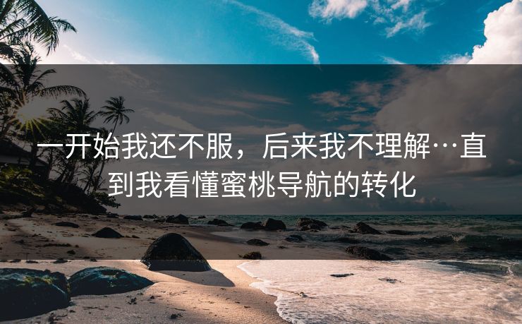 一开始我还不服，后来我不理解…直到我看懂蜜桃导航的转化