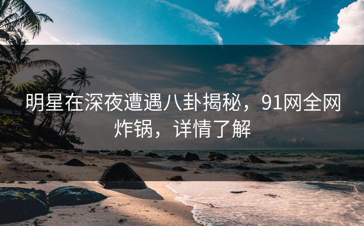 明星在深夜遭遇八卦揭秘，91网全网炸锅，详情了解