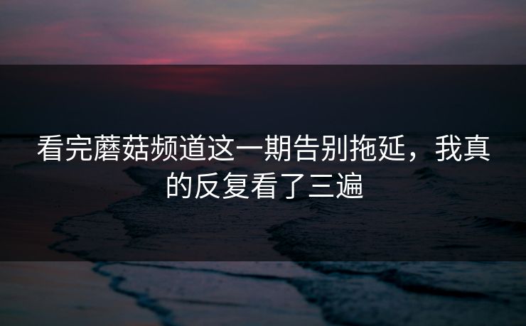 看完蘑菇频道这一期告别拖延，我真的反复看了三遍
